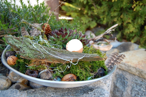 Der Frühling im Garten