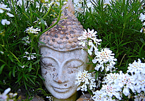 Buddha-Kopf im Blütenmeer