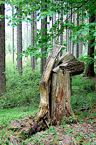 Baum-Skulptur