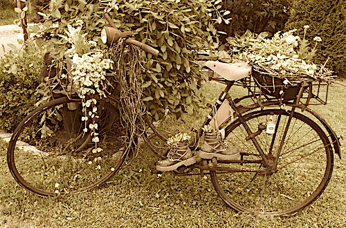 Vintage im Garten - inszeniertes Fahrrad