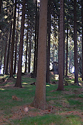 Waldbehausung