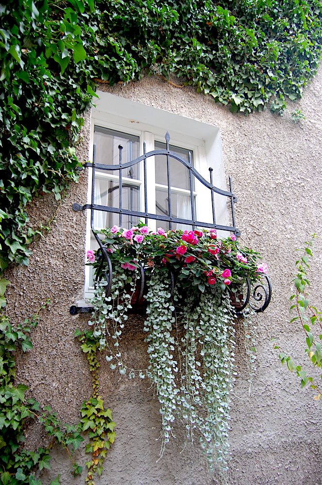 Blumenfenster in Steyr