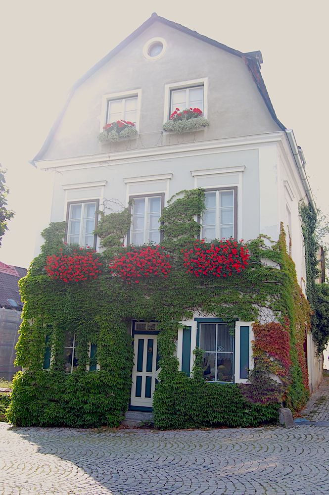 Begrüntes Haus in Steyr