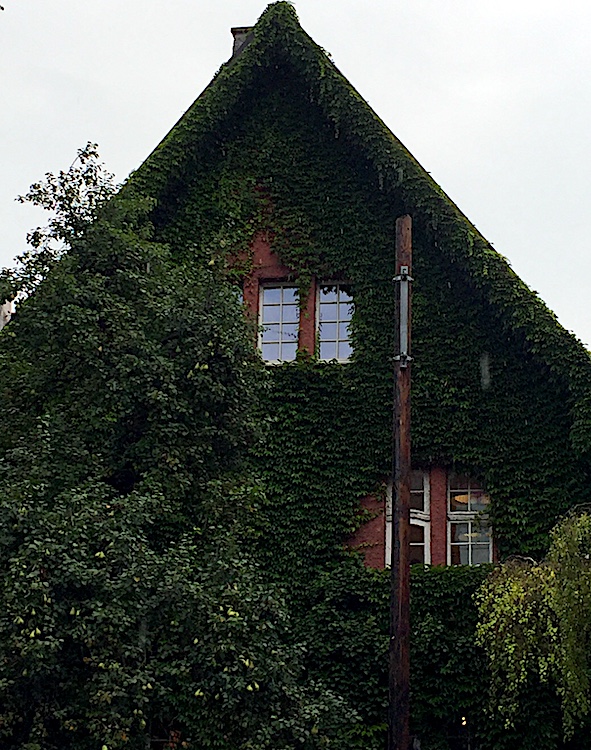 Haus in Wels grün besiedelt