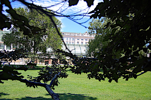 Burggarten im Hintergrund Schmetterlingshaus