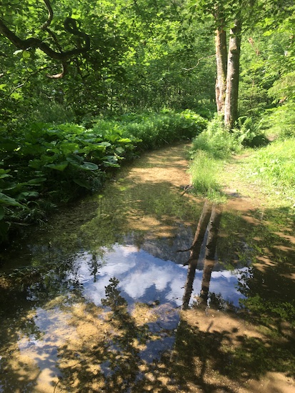 Nebenarm vom Taferlklaussee