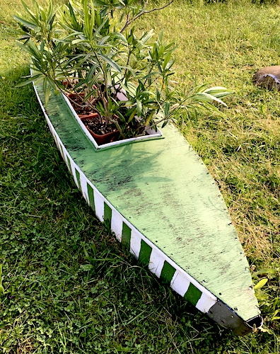 Boot mit Pflanzen