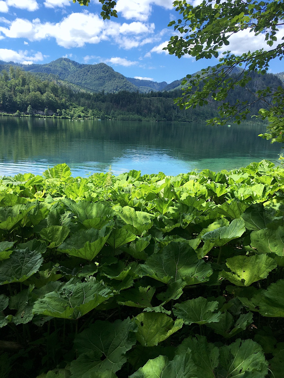 Almsee und Panorama