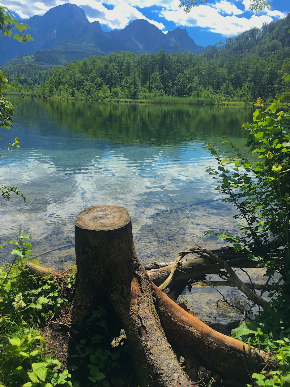 Fotokulisse am Almsee