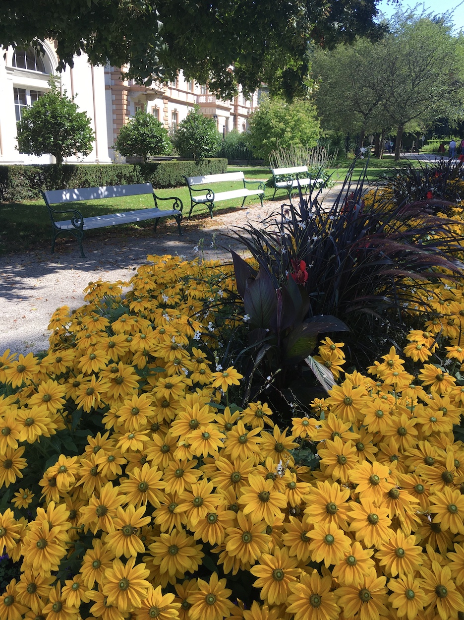 Blumen im Kurpark Bad Hall