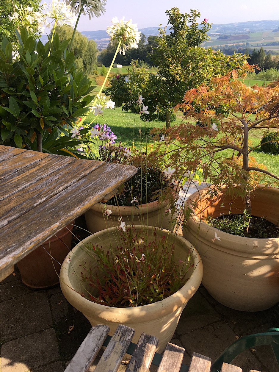 Erfrischung auf Terrasse