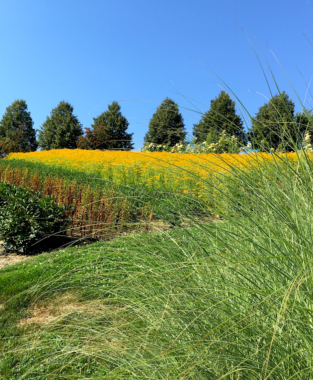 Farbenfrohe Natur