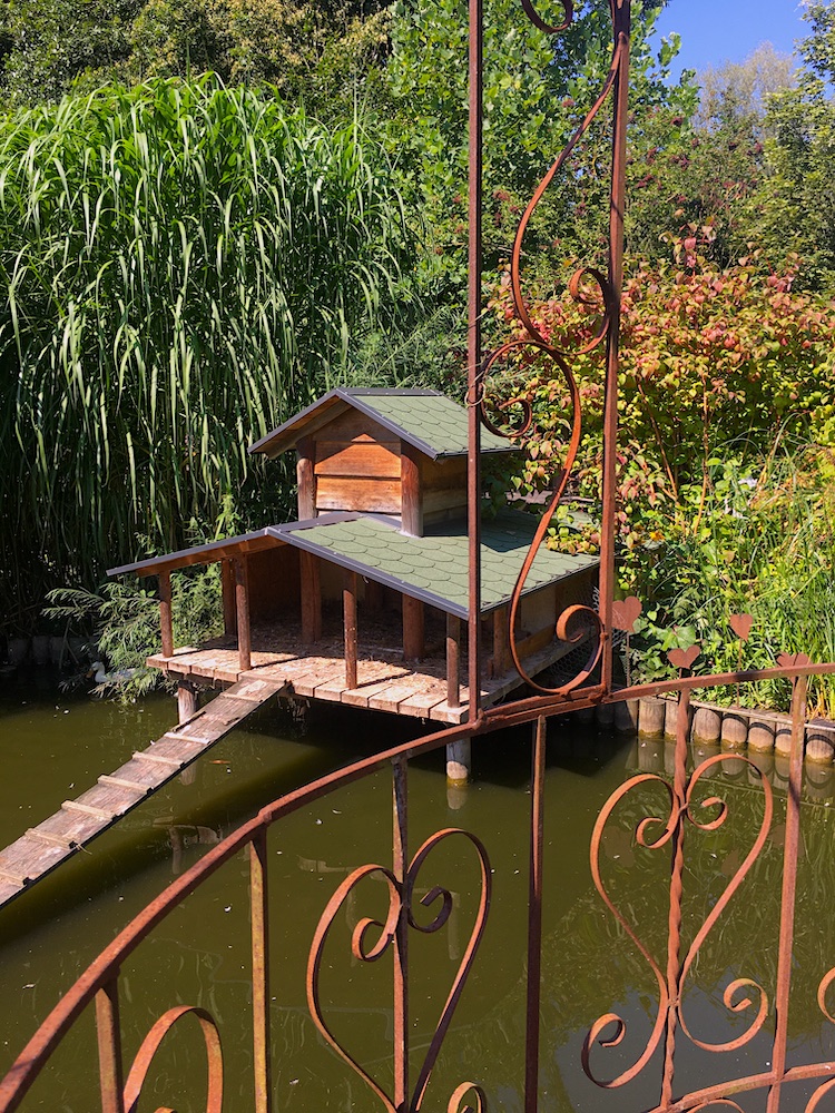 Entenunterkunft am Teich
