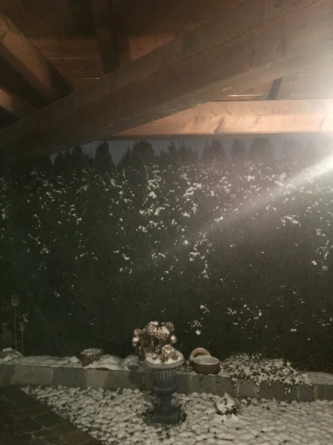 Winter Wonderland