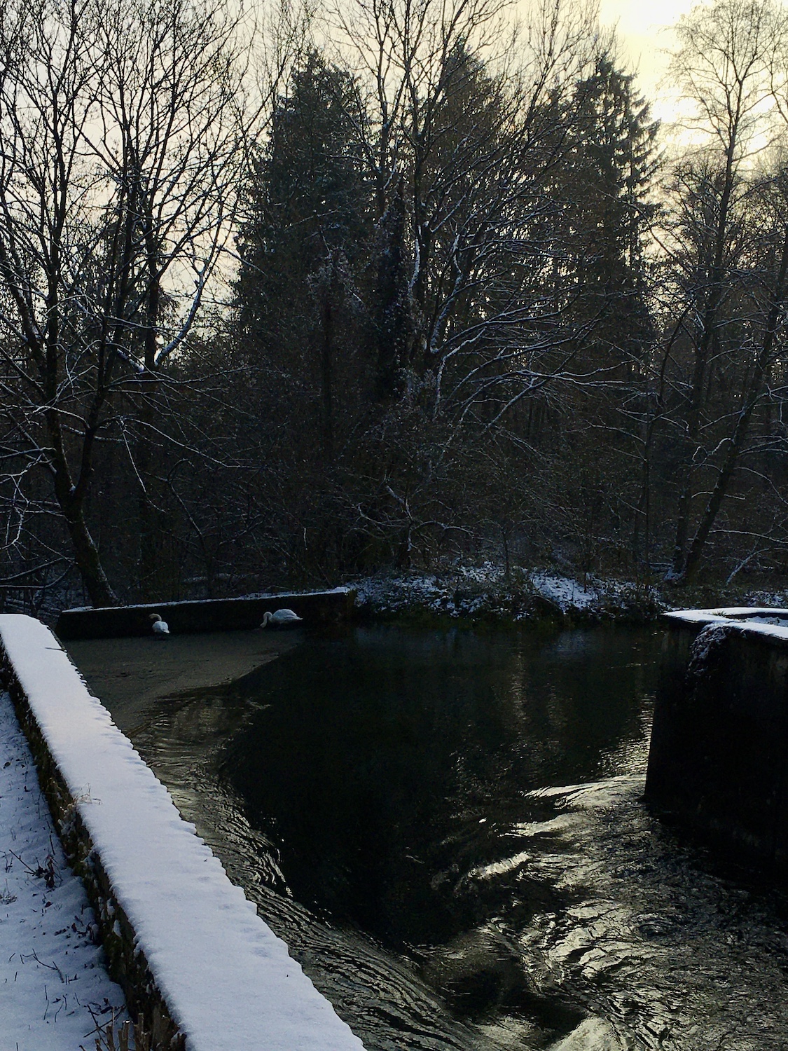 Winter Wonderland