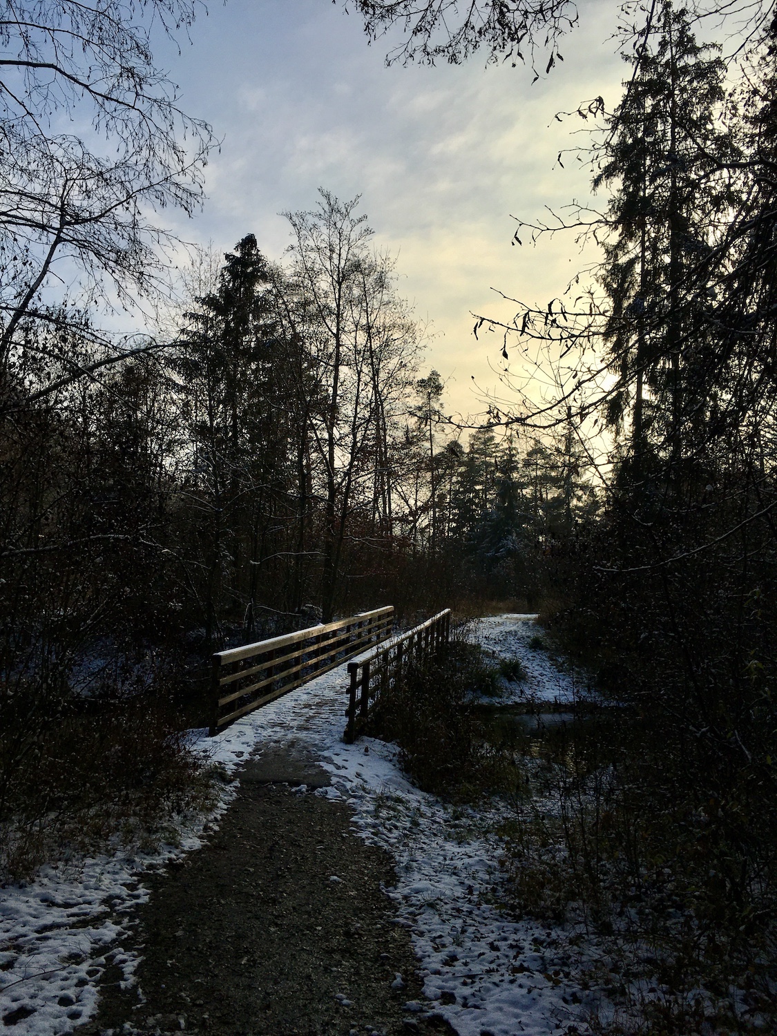 Winter Wonderland