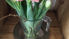 Tulpen gefüllt